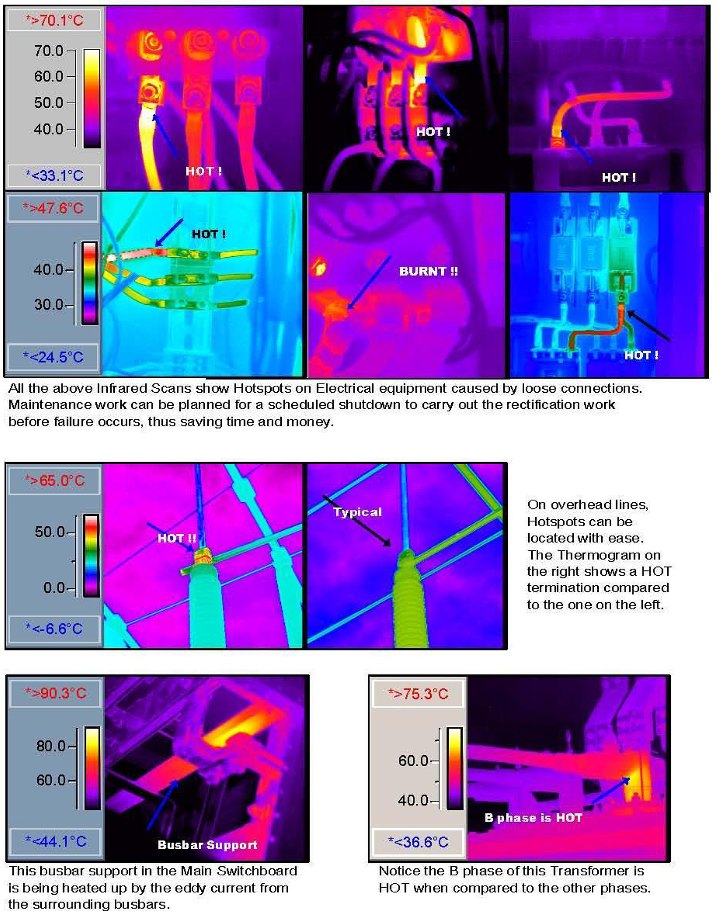 Infrared Thermography Services